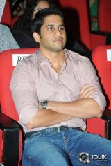 Uyyala Jampala Movie Audio Release